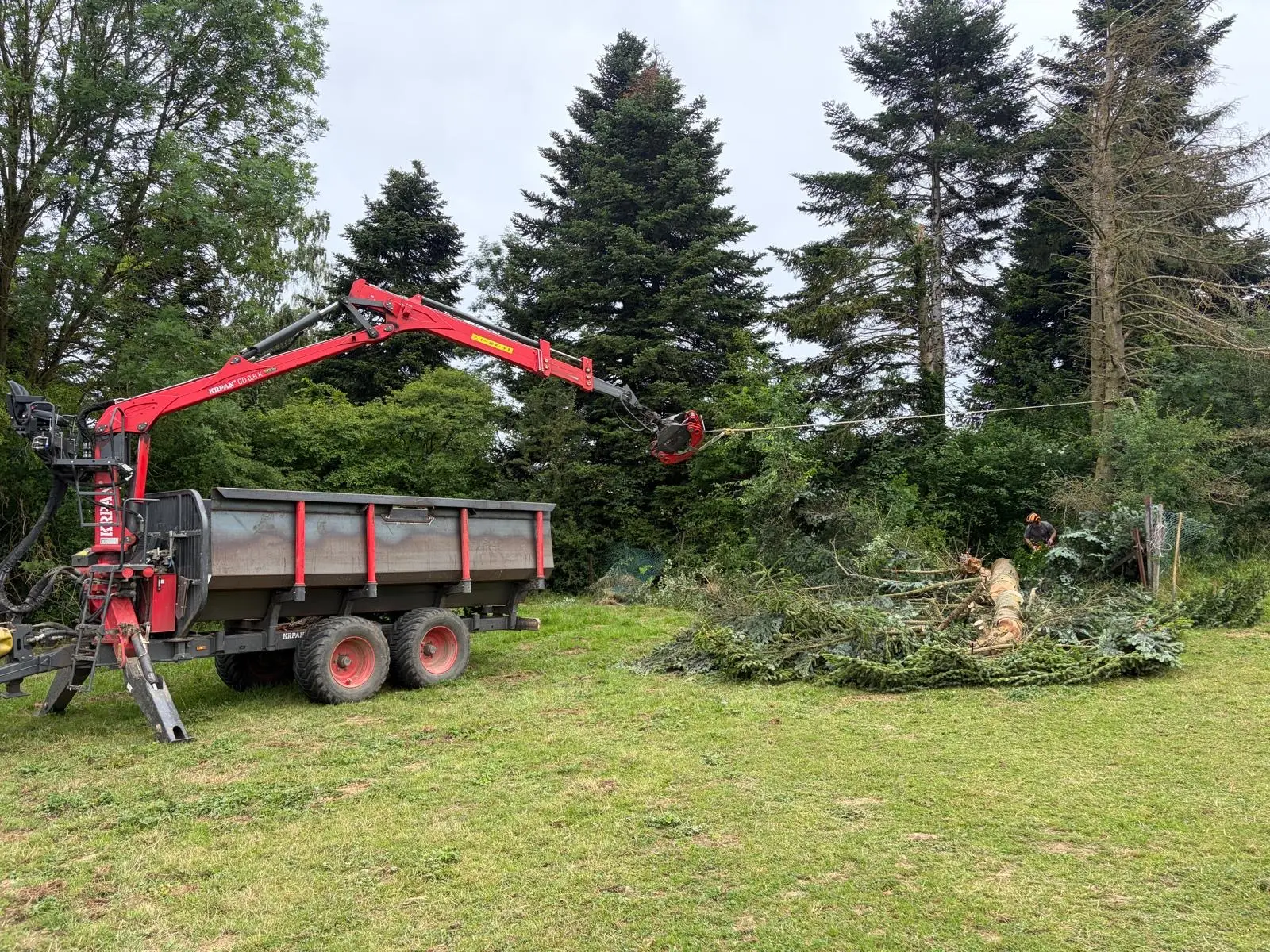 Forestry Work