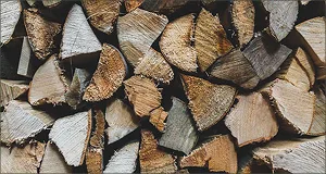 Stère of fresh firewood (1 m³)